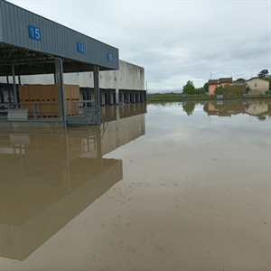 Alluvione in Romagna, Conserve Italia riparte con produzione di succhi e spedizione merci. Preoccupazione per danni a frutta e pomodoro